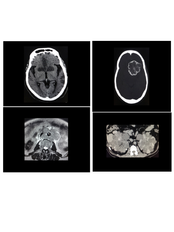 A Floral Tribute to Medical Imaging