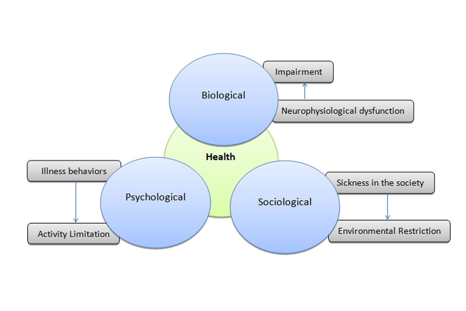 Bio psychosocial Model Of Health International Journal Of Clinical 